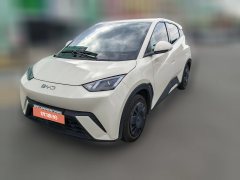 2025 BYD Seagull 2024 Glory 305km vitalityEdition #1