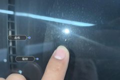 Windshield
