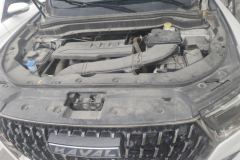 2023 Haval H6 2023 China tideEdition 1.5T ATUrbanEdition #10