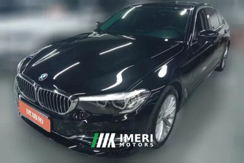 2019 BMW 5 Series 2019 2.0T AT 530LiLeadingLuxury Pkg