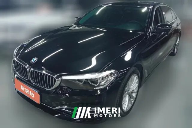 2019 BMW 5 Series 2019 2.0T AT 530LiLeadingLuxury Pkg