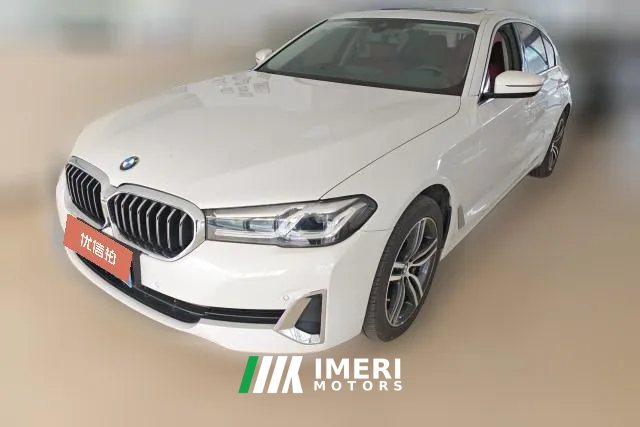 2021 BMW 5 Series 2021 2.0T AT 530LiLeadingLuxury Pkg