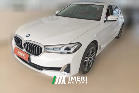 2021 BMW 5 Series 2021 2.0T AT 530LiLeadingLuxury Pkg