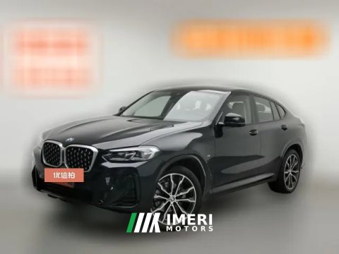 2022 BMW X4 2022 2.0T AT xDrive 30i MSport Pkg (Imported)