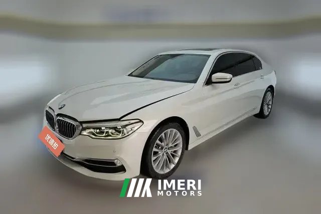 2020 BMW 5 Series 2021 2.0T AT 530LiLeadingLuxury Pkg