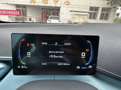 2024 BYD Seagull 2024 Glory 305km vitalityEdition #11