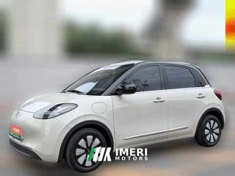 2024 Wuling Motors Wuling Bingo 2024 333km LingxiConnected