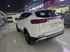 2022 Haval H6 2021 1.5T AT China tideChampion #5