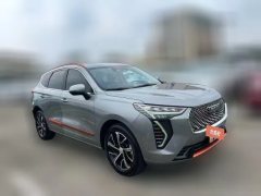 2021 Haval Chulian 2021 1.5T AT Large4Edition #2