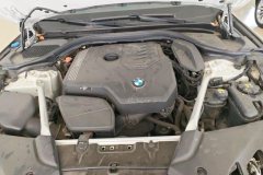 2021 BMW 5 Series 2021 2.0T AT 530LiLeadingLuxury Pkg #10