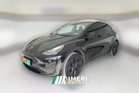 2023 Tesla Model Y 2023 rear wheel driveEdition
