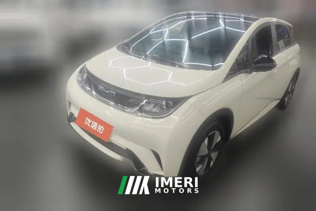 2024 BYD Dolphin 2023 420km Fashion