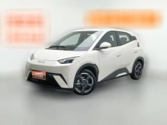 2024 BYD Seagull 2024 Glory 305KM freeEdition #1
