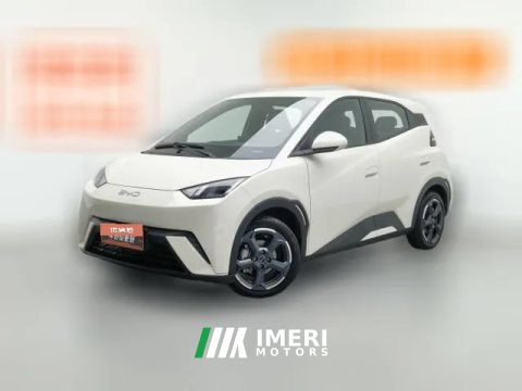 2024 BYD Seagull 2024 Glory 305KM freeEdition