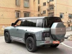 2024 Yangwang U8 2023 Luxury #8