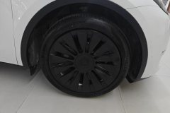 2021 Tesla Model Y 2021StandardBattery lifeRWDEdition #6