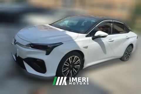 2019 Aion S 2019 Charming630 EV