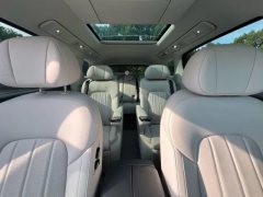 2024 Voyah Dreamer 2025 1.5T AT PHEV 4WDNoble KunpengEdition #8