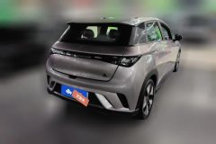 2022 BYD Dolphin 2021 401km knightEdition #3