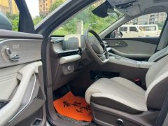 2025 Exeed Yaoguang C-DM 2025 200SuperLong RangePro4WD #4