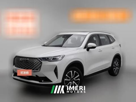 2021 Haval H6 2021 1.5T AT No.3generation2WDMax