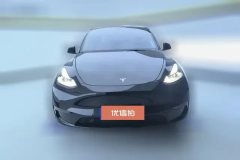2022 Tesla Model Y 2021StandardBattery lifeRWDEdition #2
