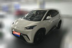 2025 BYD Seagull 2025 305km freeEdition #1