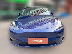 2021 Tesla Model Y 2021Long Rangeall wheel driveEdition 3D7 #2