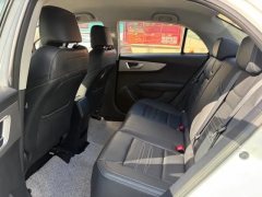 2020 BYD Qin 2019 1.5 AT Luxury #12