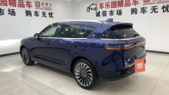 2022 Voyah Free 2021 4WDStandardEREVExclusiveLuxury Pkg #6