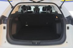 2021 Haval H6 2021 1.5T AT China tideChampion #4
