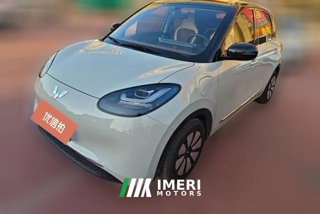 2024 Wuling Motors Wuling Bingo 2023 333KM Joy