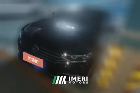 2021 Volkswagen Magotan 2020 2.0T AT 330TSILeading