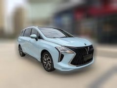 2023 Dongfeng Fengxing Fengxing Youting 2022 1.5T AT DCTChasing the windEdition #3