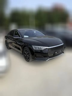 2024 BYD E9 2022 Business #3
