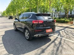 2018 Haval H6 2018 Red Label 2.0T AT Luxury #6