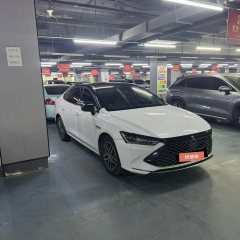 2022 BYD Qin Plus 2021 1.5 AT DM-i 120KM Premium #5