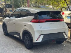 2024 BYD Seagull 2024 Glory 305KM freeEdition #13