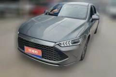 2024 BYD Qin Plus 2024 Glory 1.5L AT DM-i 55KMLeading #1