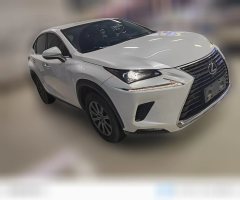 2018 Lexus NX 2018 2.0T AT 300Feng XingEditionFWD (Imported) #3