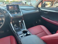 2021 Lexus NX 2020 2.0 AT 200Feng XingEditionFWD China VI (Imported) #11