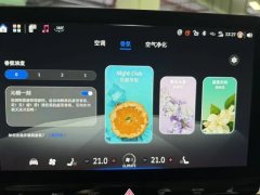 2024 smart #1 2024 Premium Edition #14
