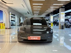 2024 Tesla Model 3 2023 Long Rangeall wheel driveEdition #8