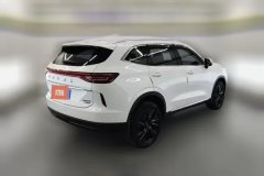 2021 Haval H6 2021 2.0T AT No.3generation2WDMax #3
