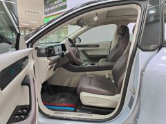 2023 Leapmotor C11 2023 EREV 285Comfort Enjoy #10