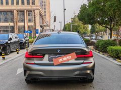 2019 BMW 3 Series 2020 2.0T AT 325Li MM Sport Shadow #5