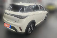 2024 BYD Dolphin 2023 420km Fashion #3