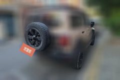 2023 Tank 300 2023 Off-road 2.0T AT conqueror #3