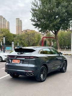 2021 Chang'an UNI-K 2021 2.0T AT excellence #8