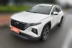 2022 Hyundai Tucson 2021 TucsonL 1.5T LUXPremium #1